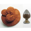 Reishi polysaccharide